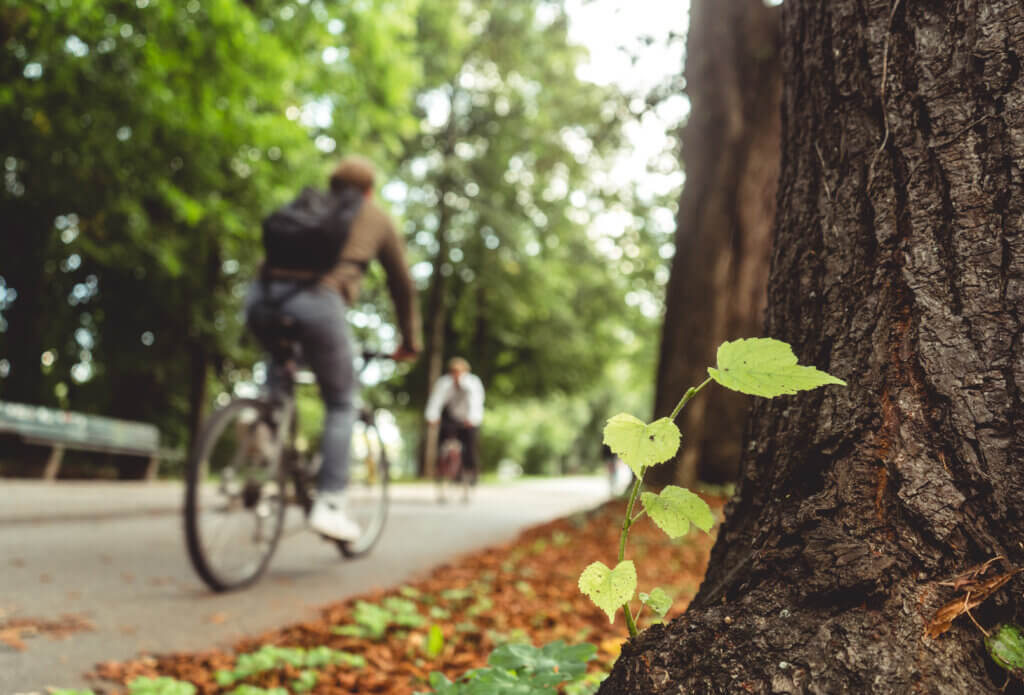 loja de bicicleta em santos